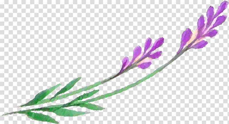 lavender clipart leaf