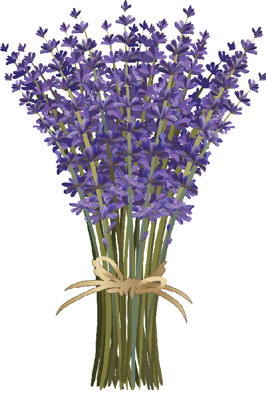 lavender clipart one