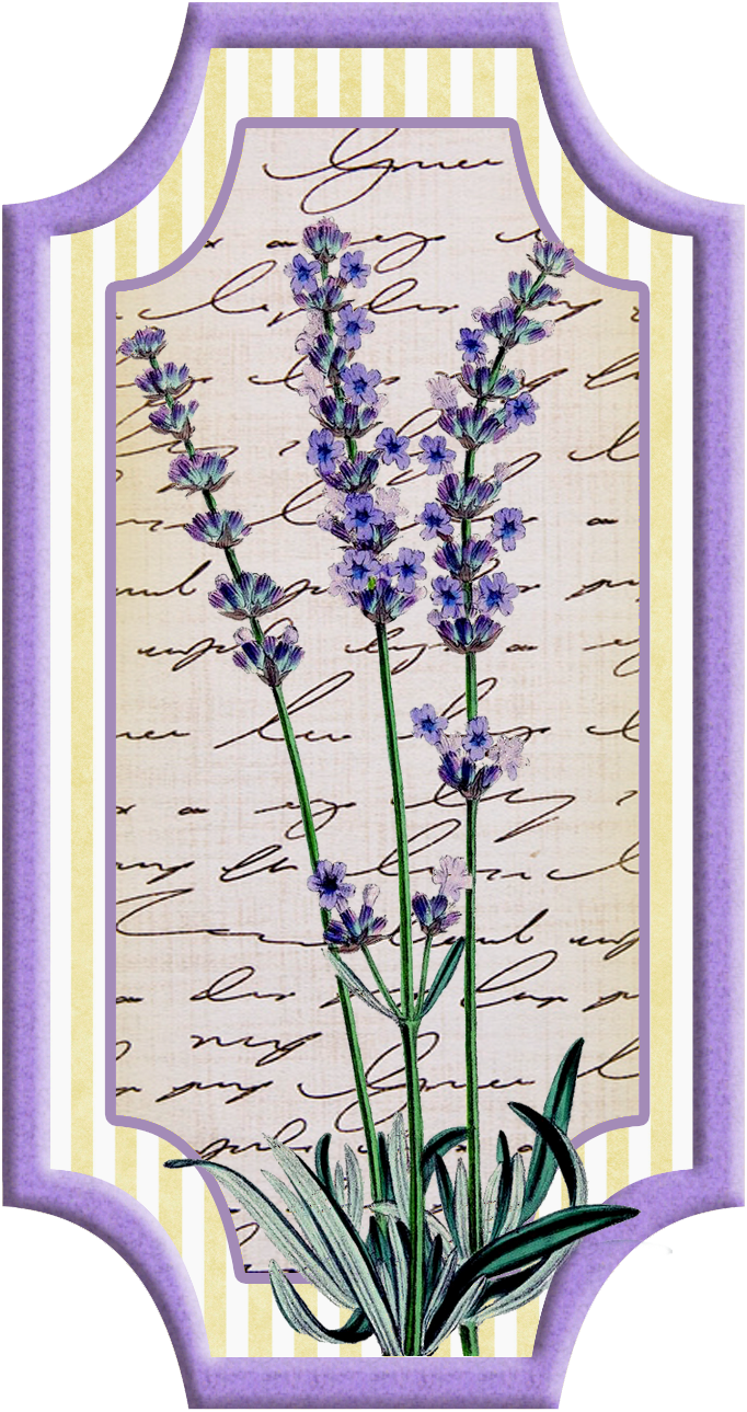 Pin by terry anne. Lavender clipart printable