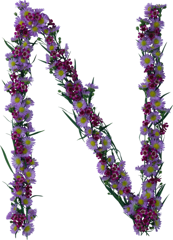 lavender clipart purple loosestrife
