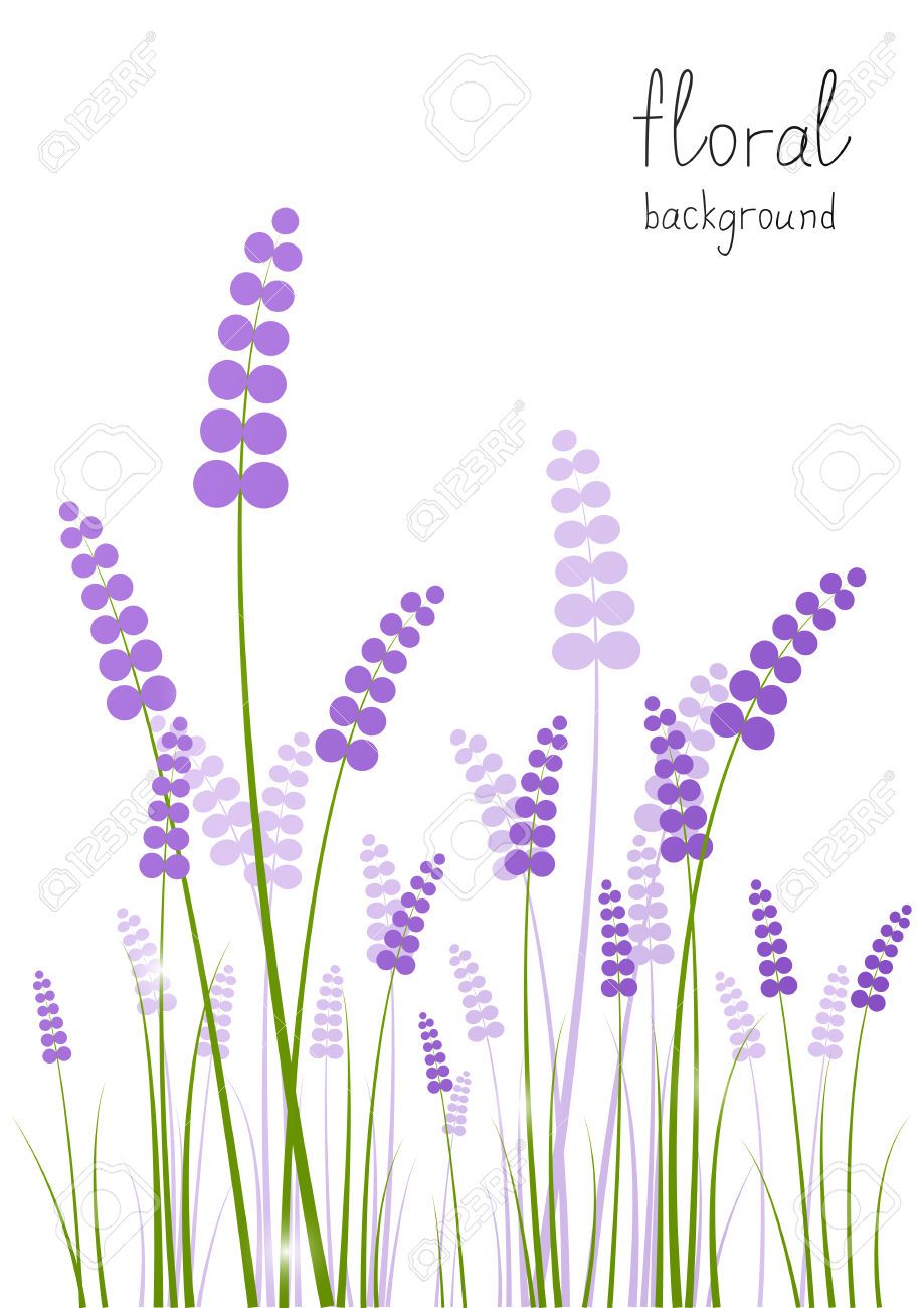 lavender clipart scientific