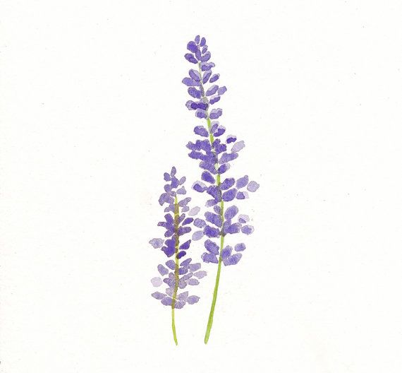Lavender clipart simple. Drawn x free clip