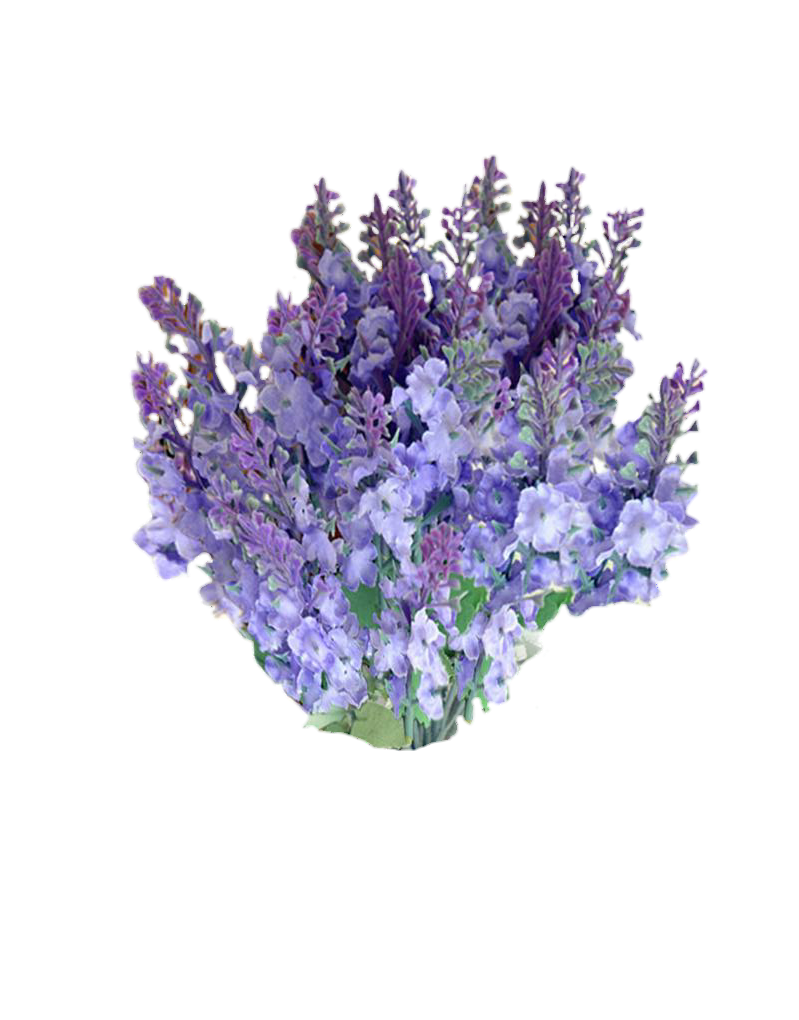 Lavender clipart transparent background. Freetoedit png flowers with