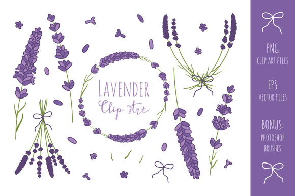 lavender clipart vector