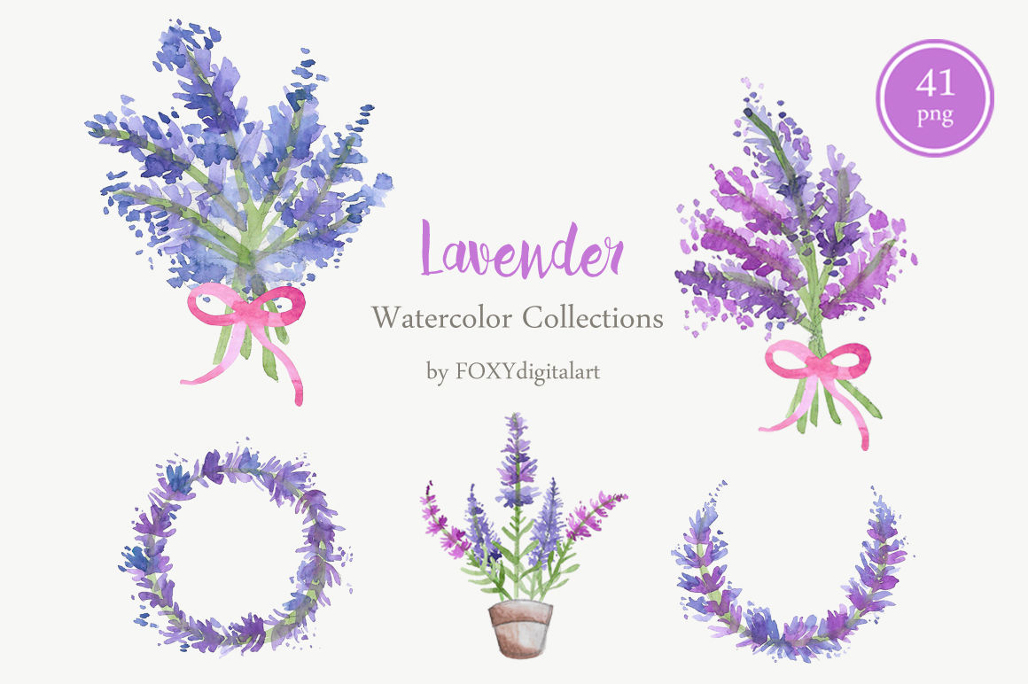 lavender clipart watercolor