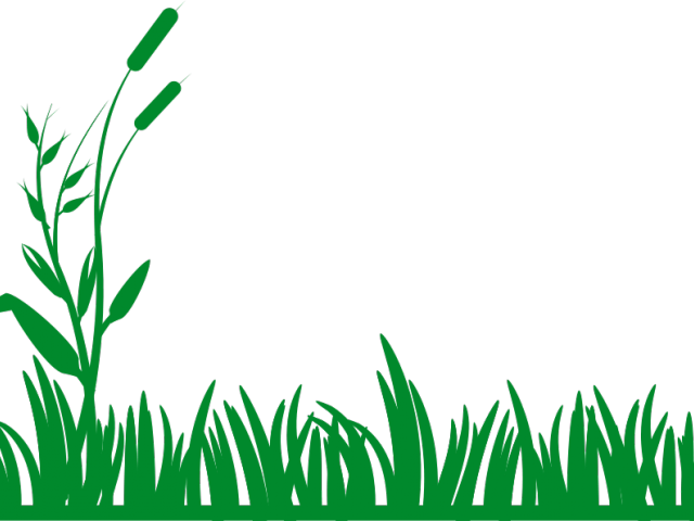 lawnmower clipart animated
