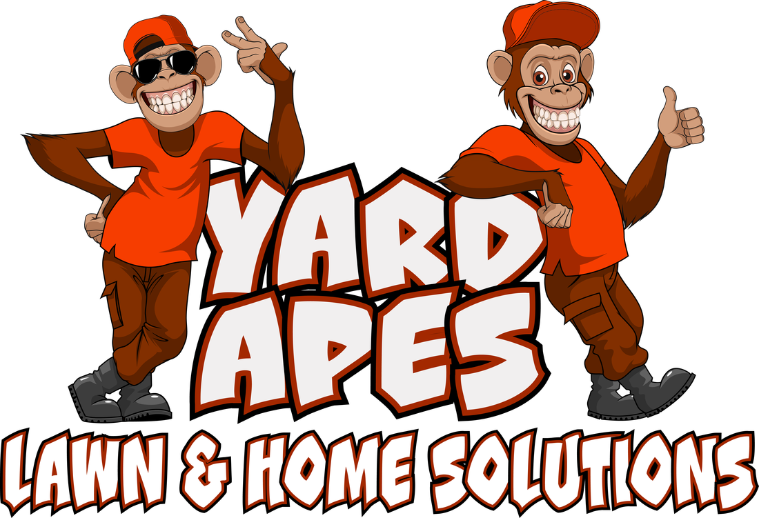Apes lawn home solutions. Lawnmower clipart yard cleaning