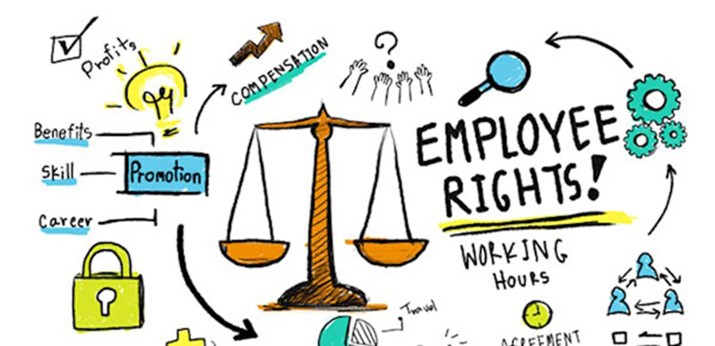 Laws clipart labour law. Employment new rights for