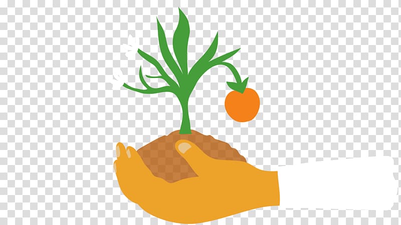 Laws clipart policy. Food verywell vegetable exercise