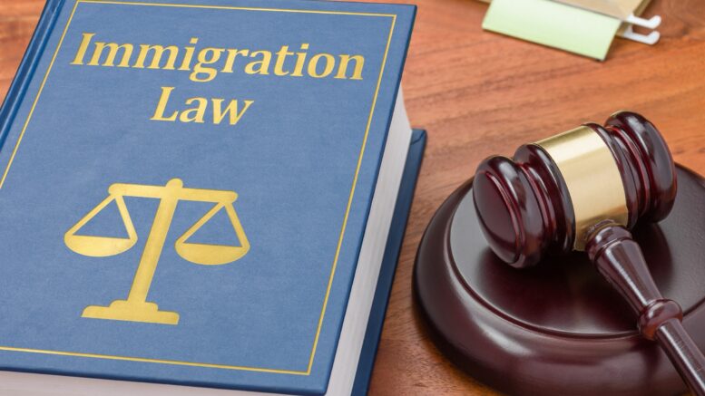lawyer clipart immigration lawyer