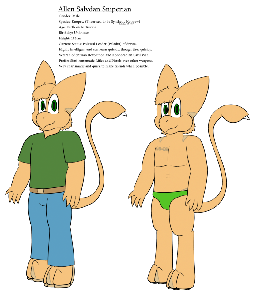 Paladin allen sniperian reference. Leader clipart charisma