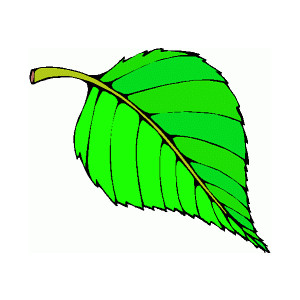 leaves clipart clip art