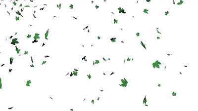 leaf clipart animation