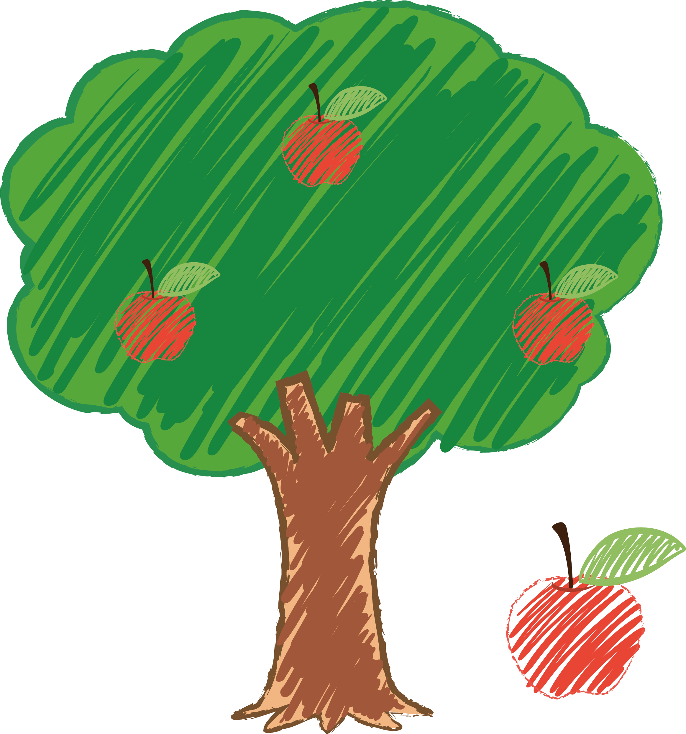 Drawing hand painted transprent. Leaf clipart apple tree