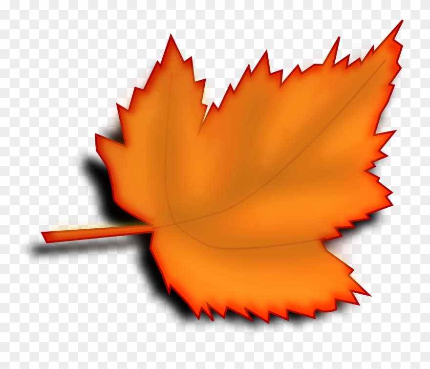 Autumn large leaf transparent. Leaves clipart clear background