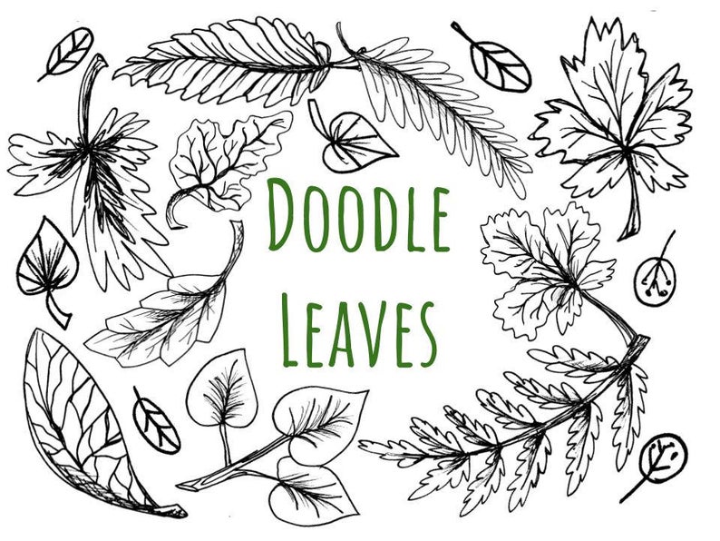 Leaves clip art hand. Leaf clipart doodle