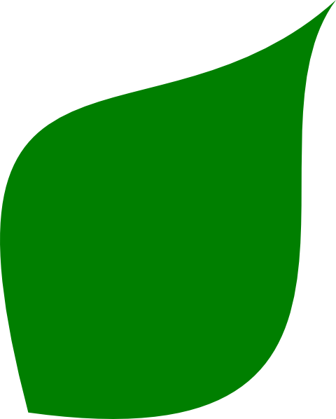 Leaf clipart leaf shape. Green clip art at