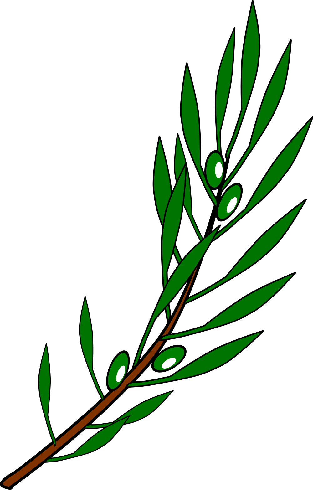 leaf clipart olive tree
