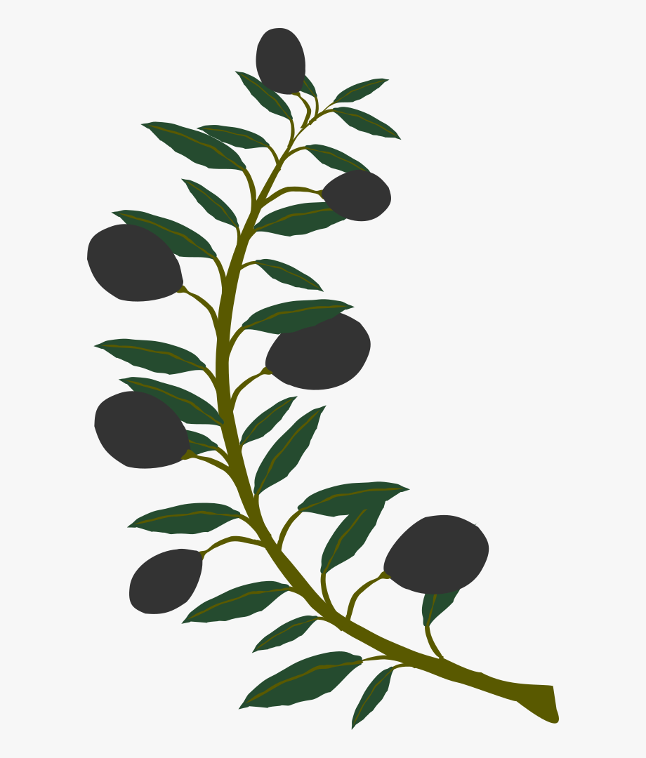 olive clipart olive plant