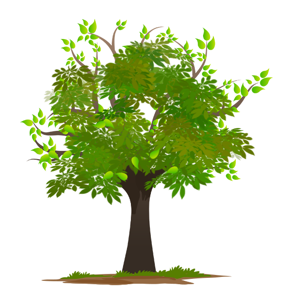 leaf clipart pipal