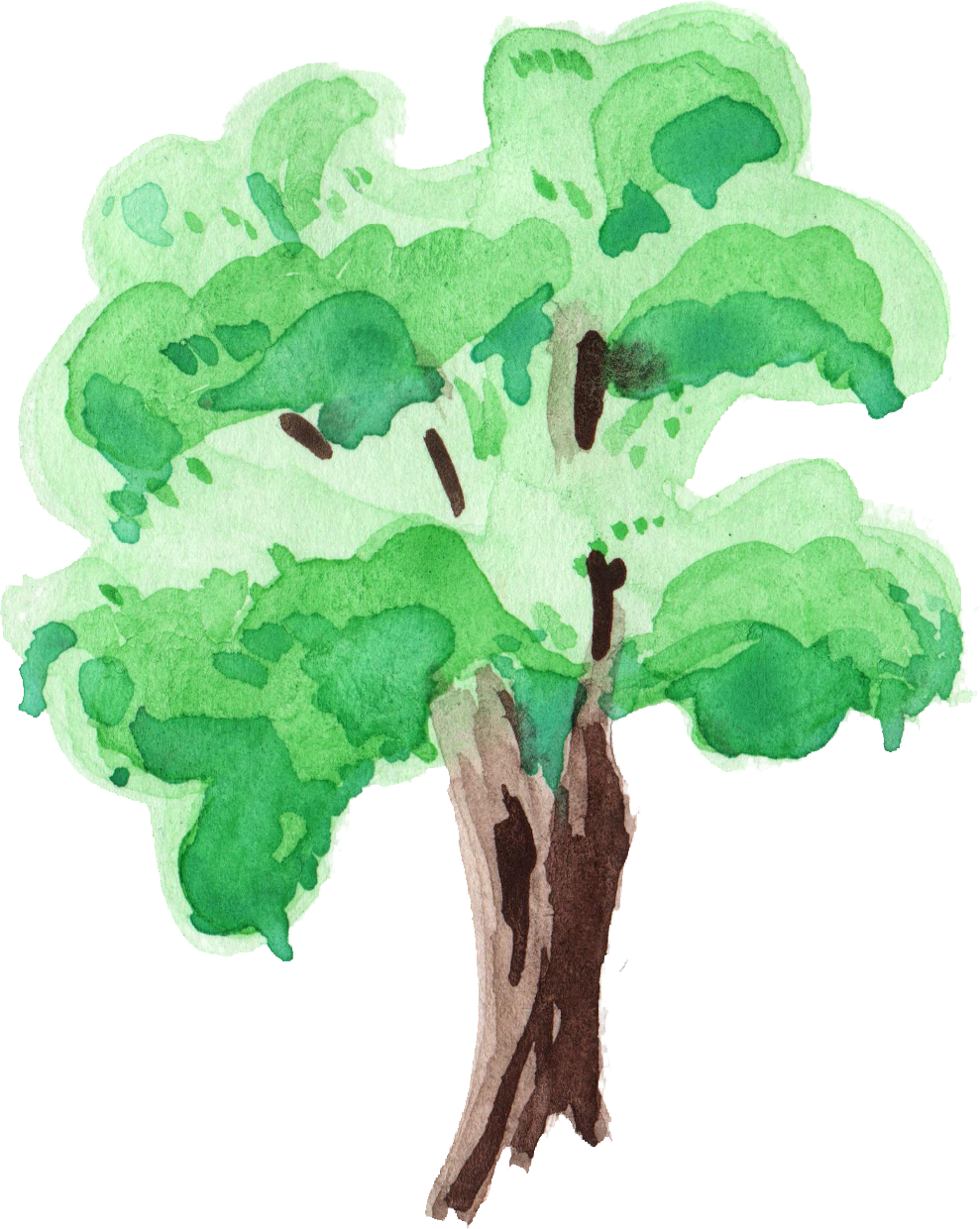 palm clipart watercolor