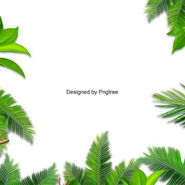 Vectors graphic resources for. Leaf vector png