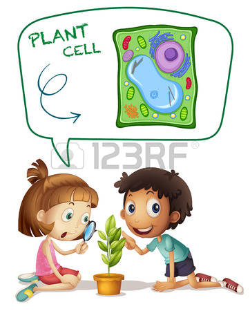 learning clipart observational learning
