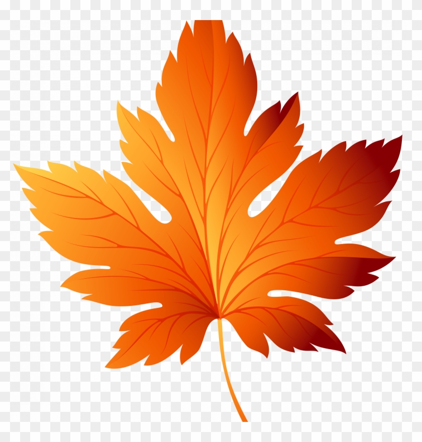 leaves clipart autumn leaves