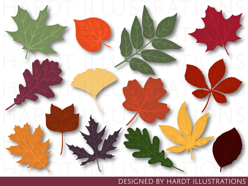 leaves clipart autumn leaves