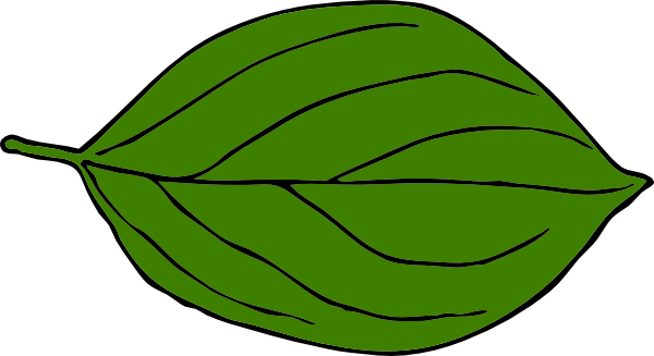 oval clipart leaf