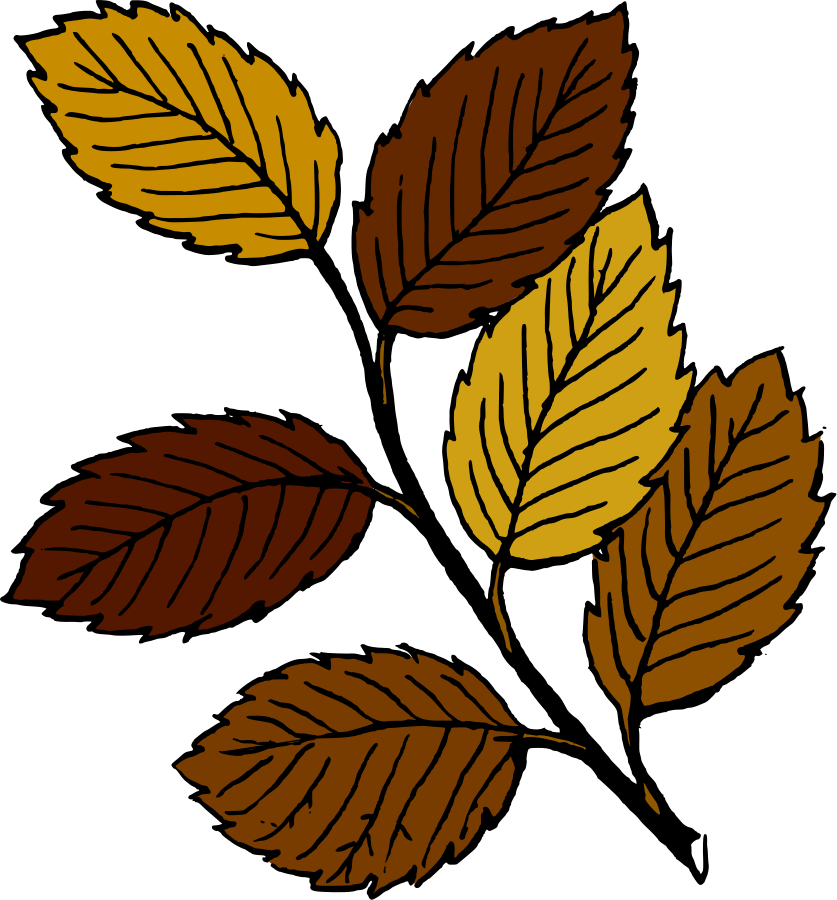 leaves clipart cartoon