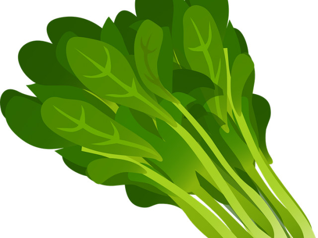 Leaves clipart chinar leaf. Green free on dumielauxepices