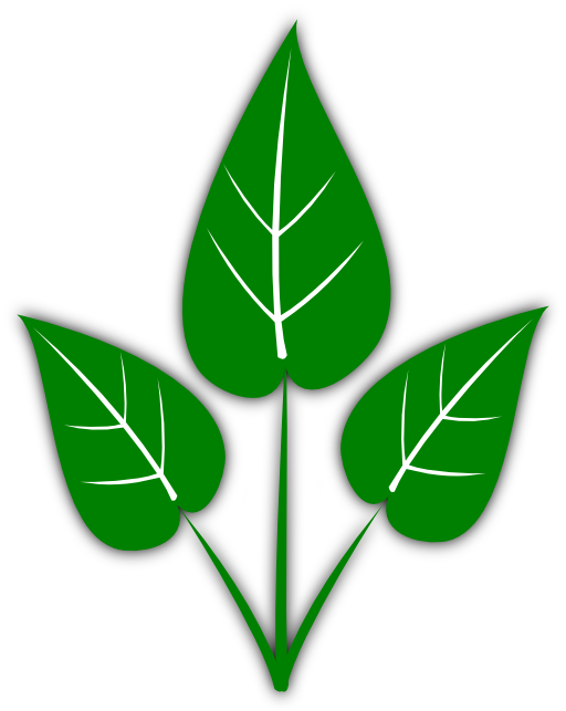 I royalty free public. Leaves clipart eco