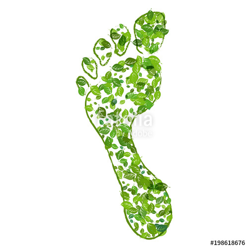 leaves clipart green object