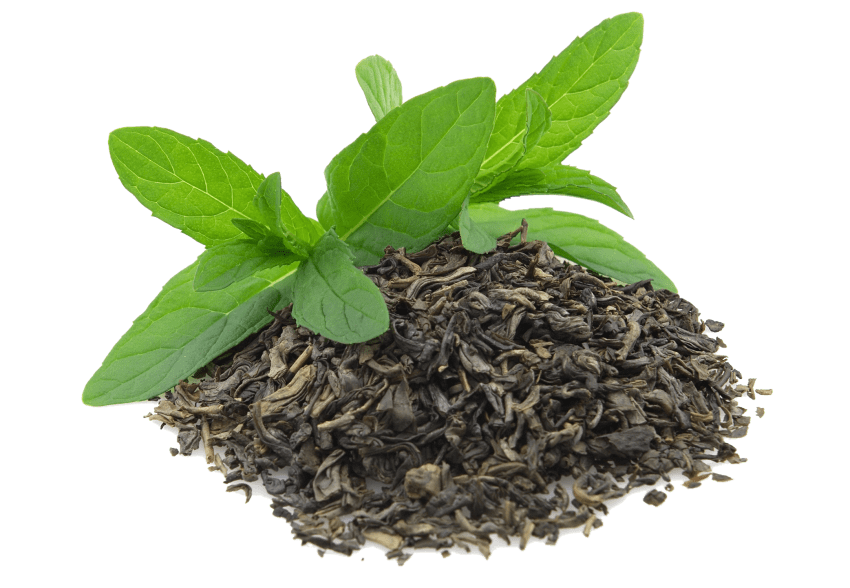 Png free images toppng. Leaves clipart green tea leaf