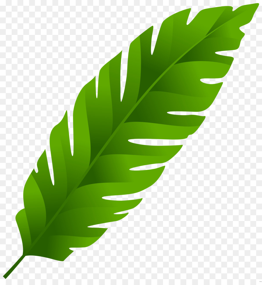 Download Leaves clipart leave hawaiian, Leaves leave hawaiian Transparent FREE for download on ...