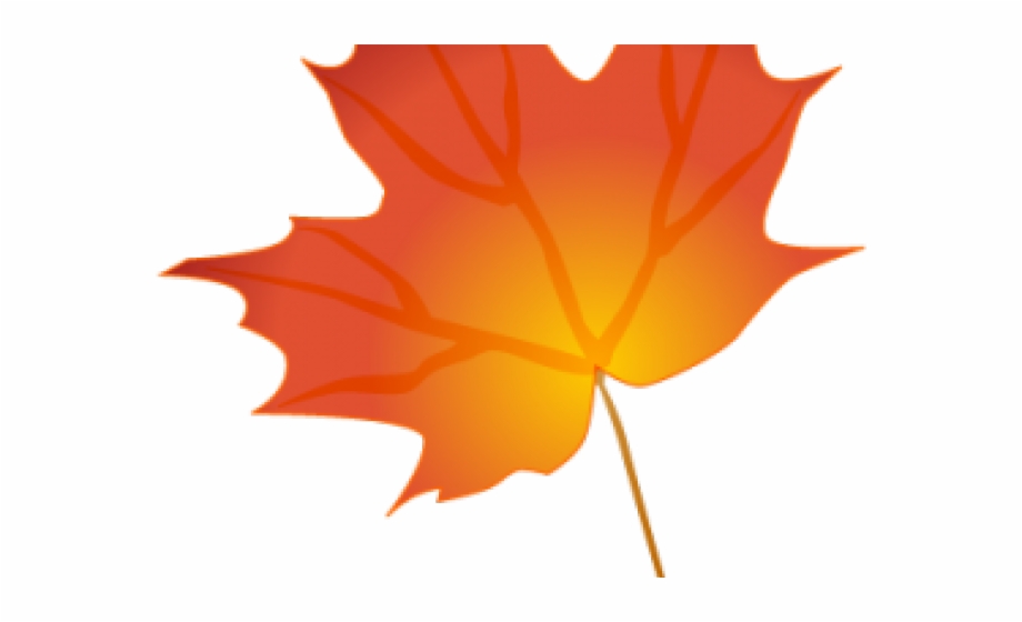 leaves clipart maple leaf