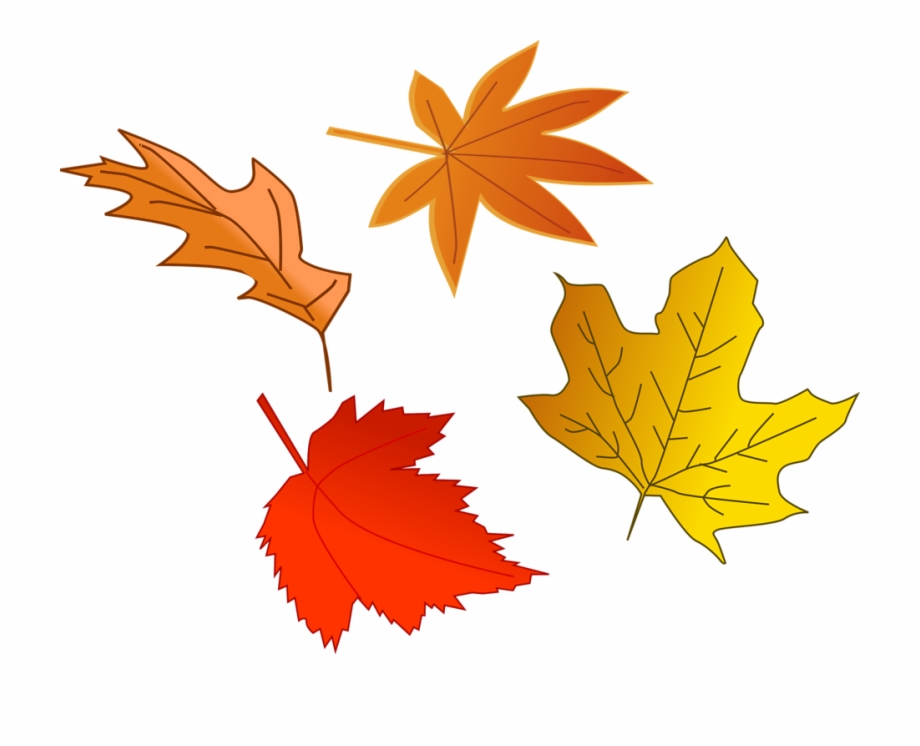 leaves clipart october leaves