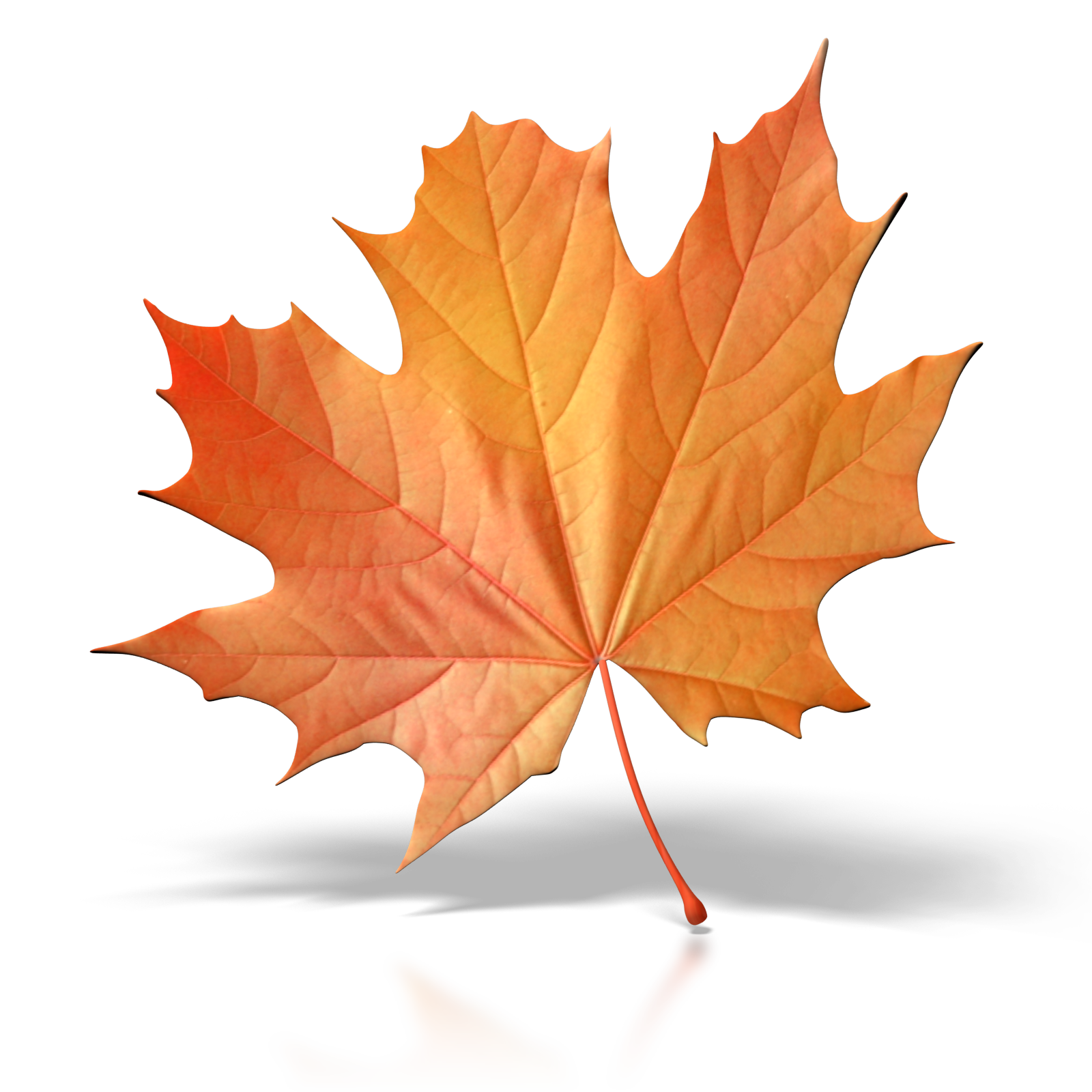 leaves clipart olympic