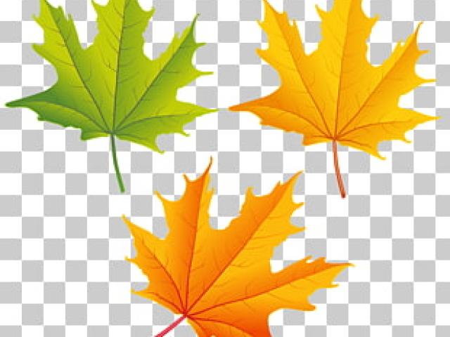 leaves clipart one leaf