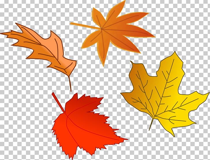 leaves clipart one leaf