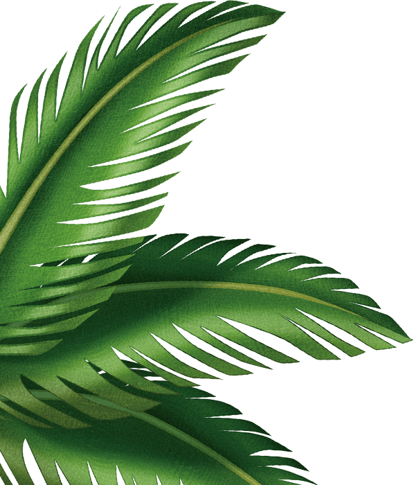 leaves clipart palm leaves