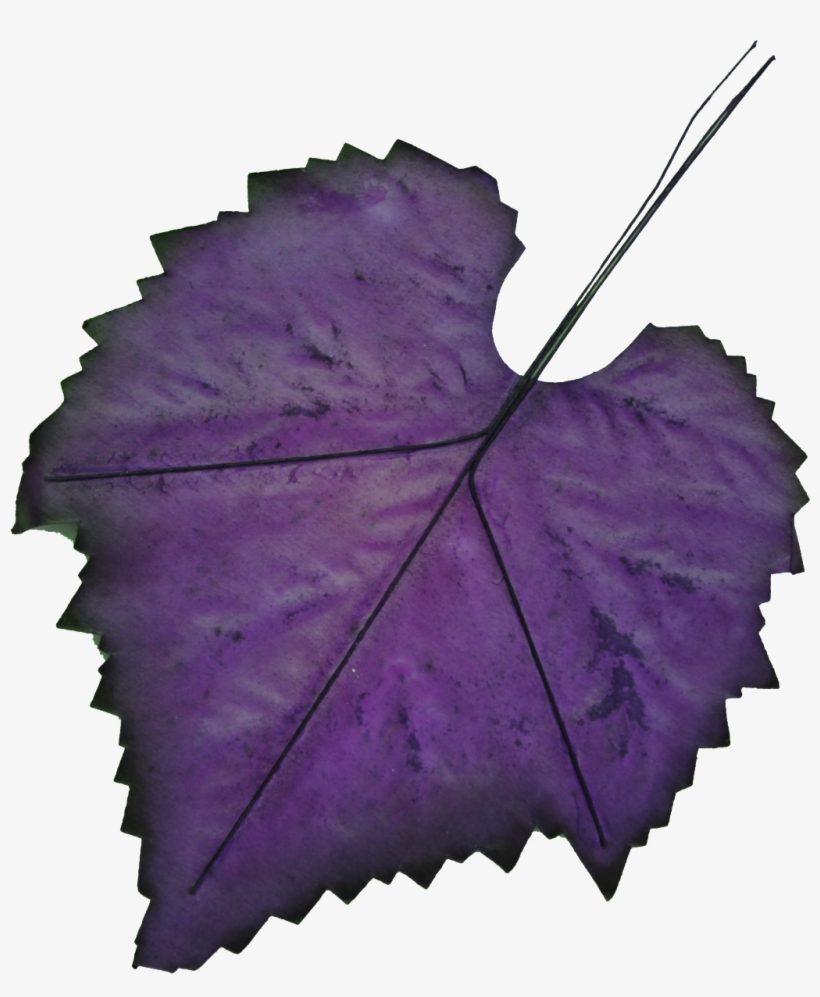 leaves clipart purple leaves