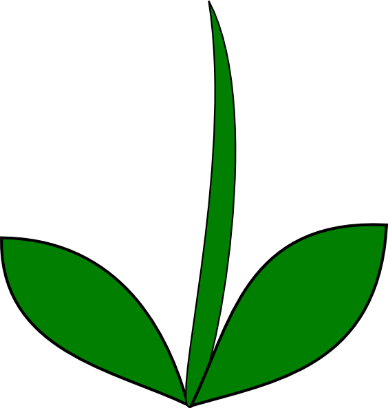 leaves clipart row leaves