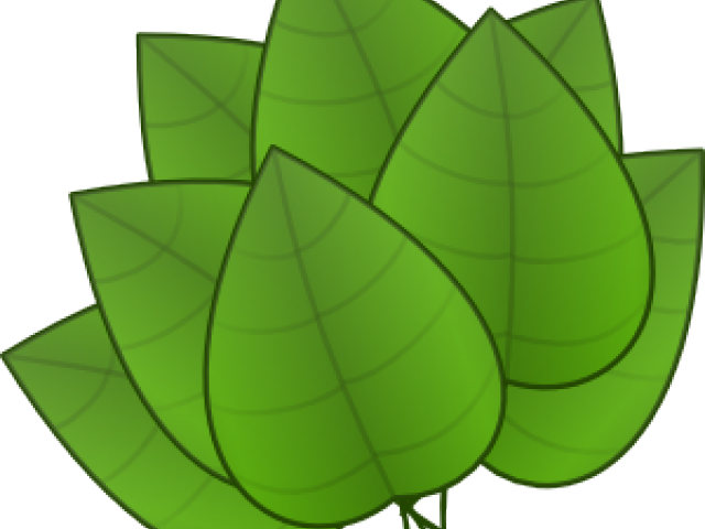 leaves clipart rustic