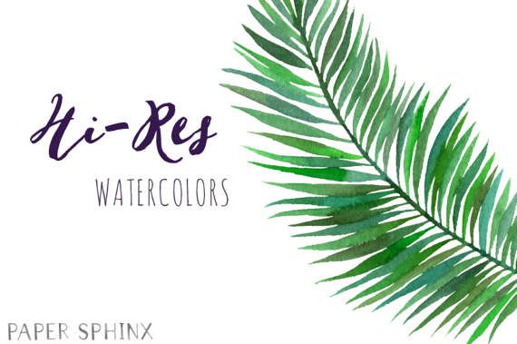 palm clipart watercolor