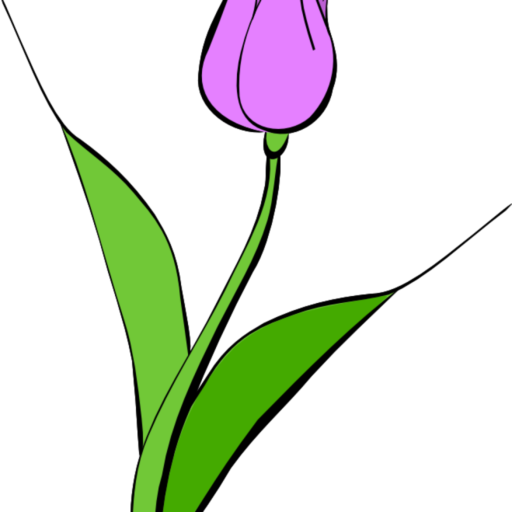 March tulip