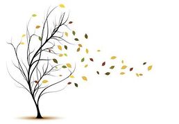 Free leaves cliparts download. Windy clipart leave