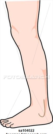 legs clipart clip art