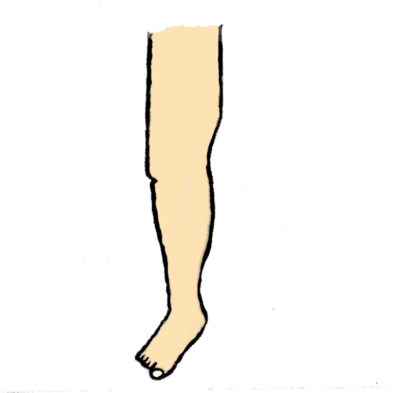 leg clipart body part